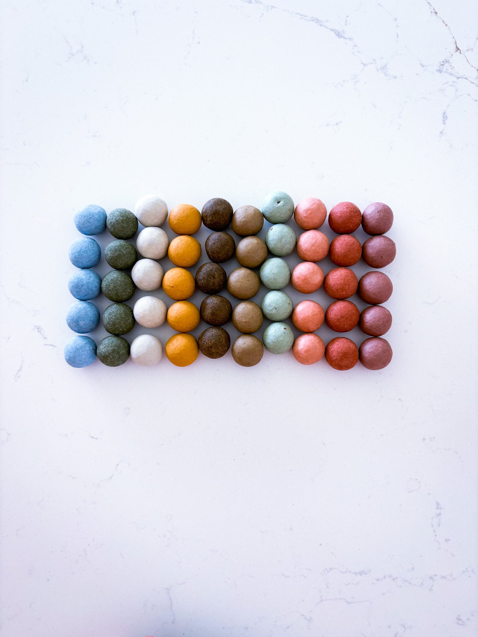 Bloembollen dark brown