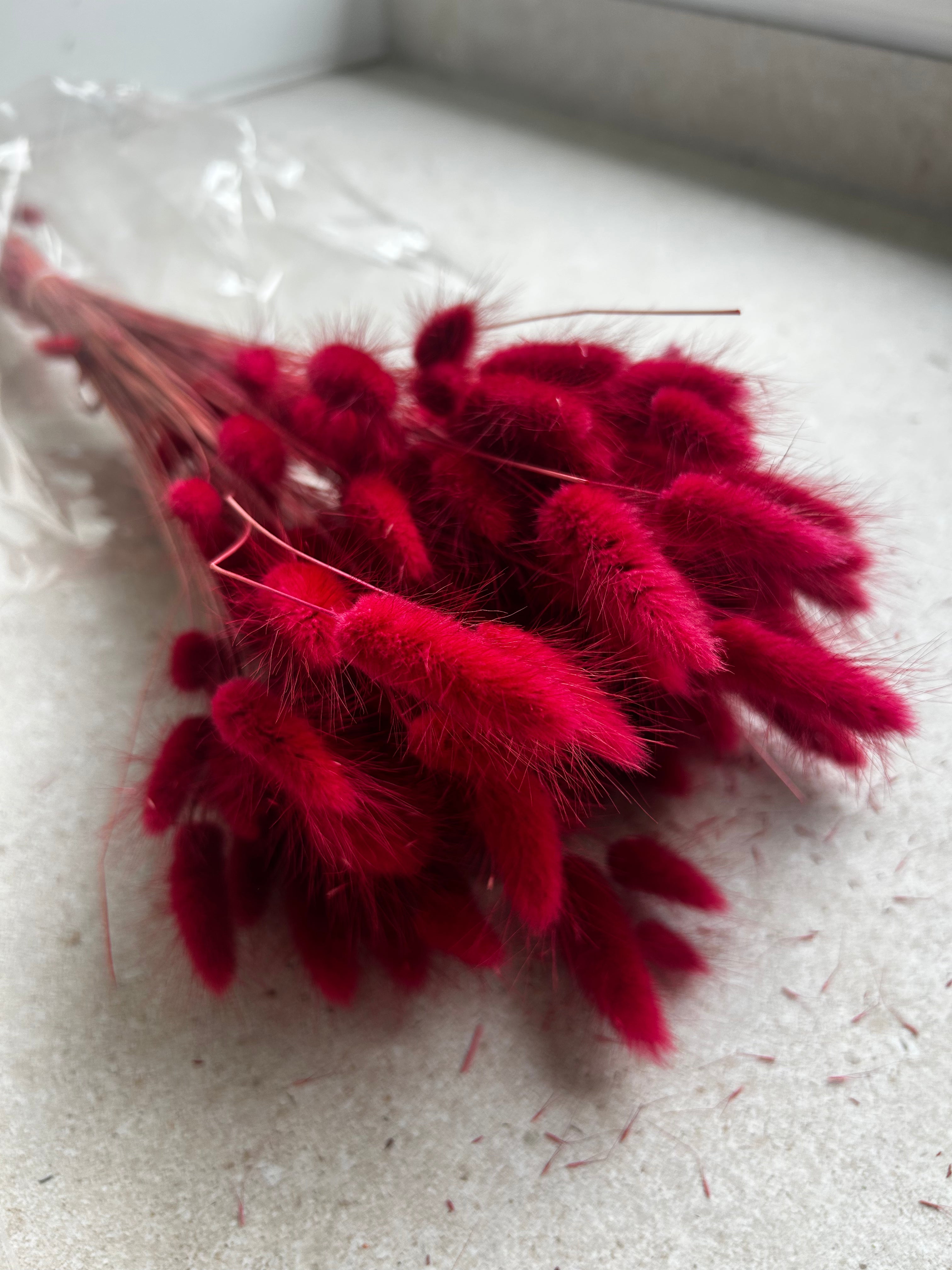 Lagarus rood