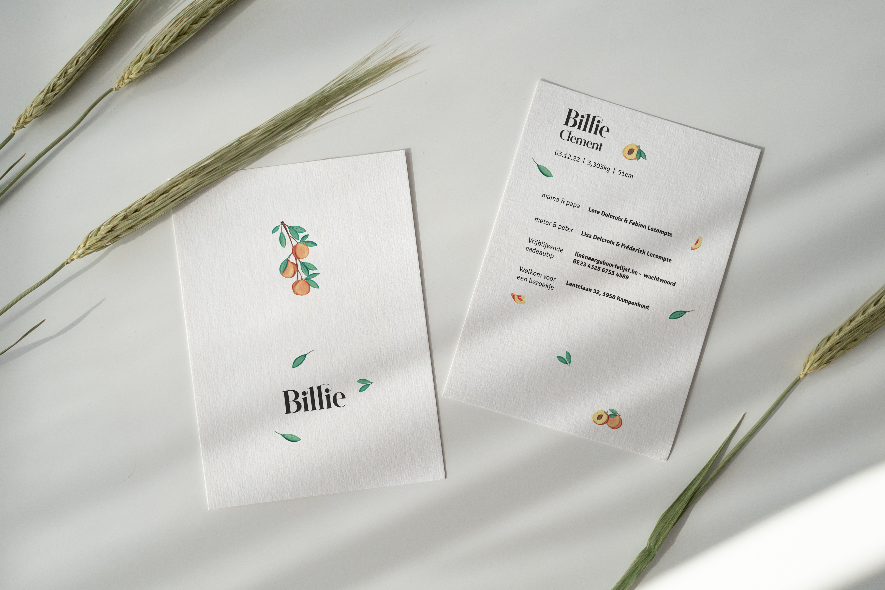 Geboortekaart Billie