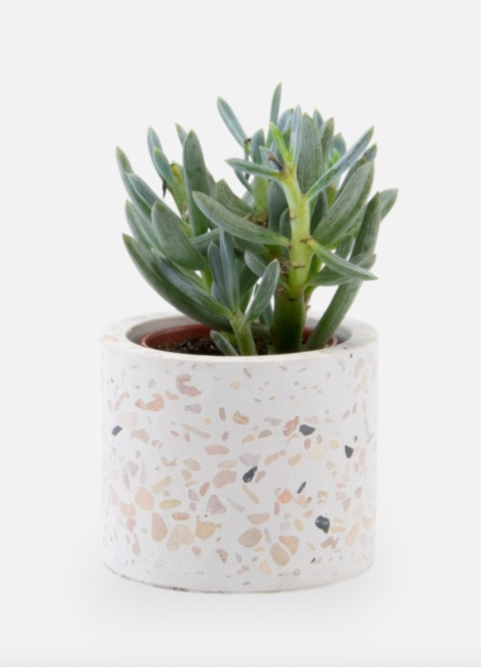 Terrazzo-Blumentopf