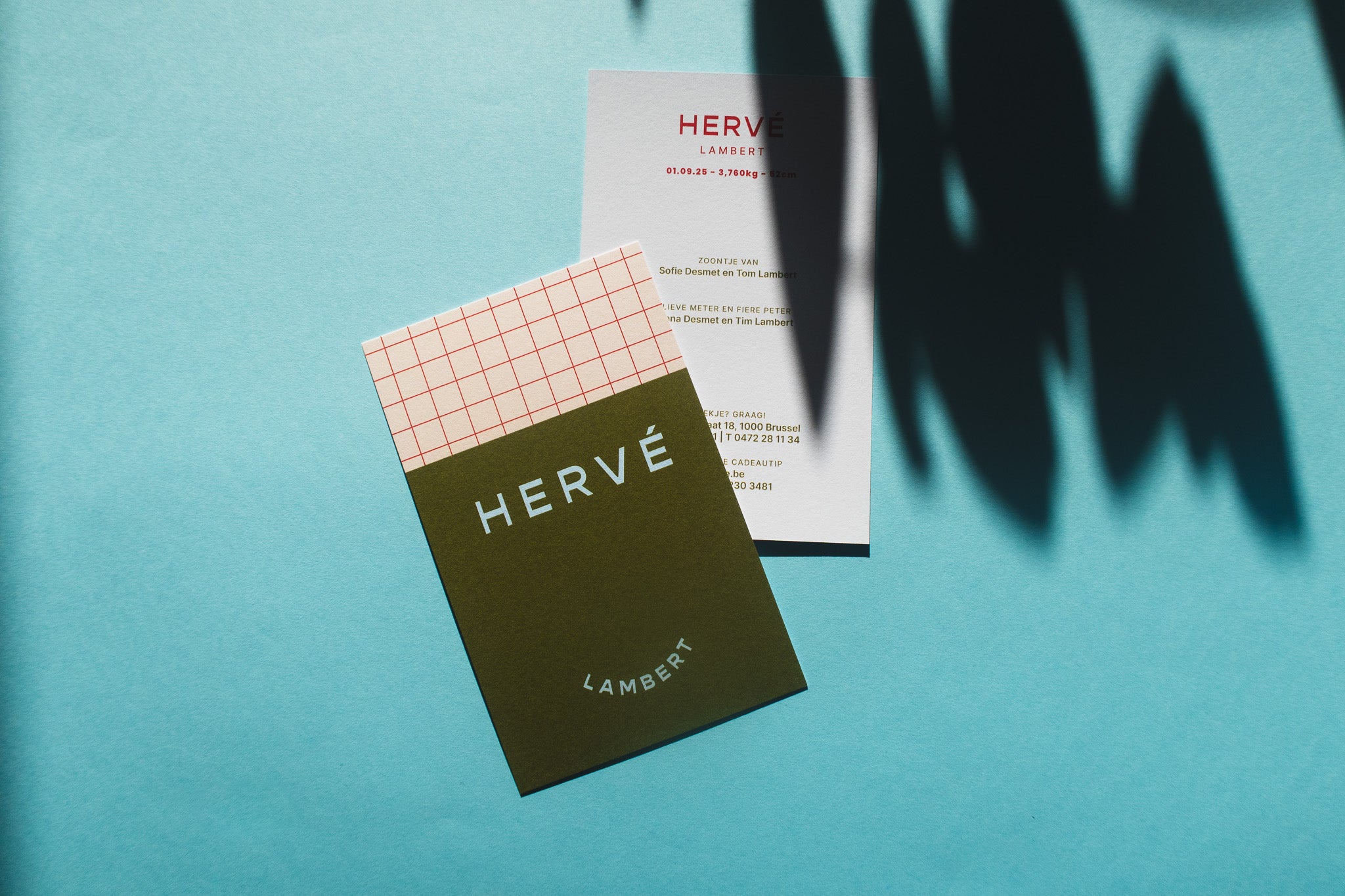 Geboortekaart Hervé