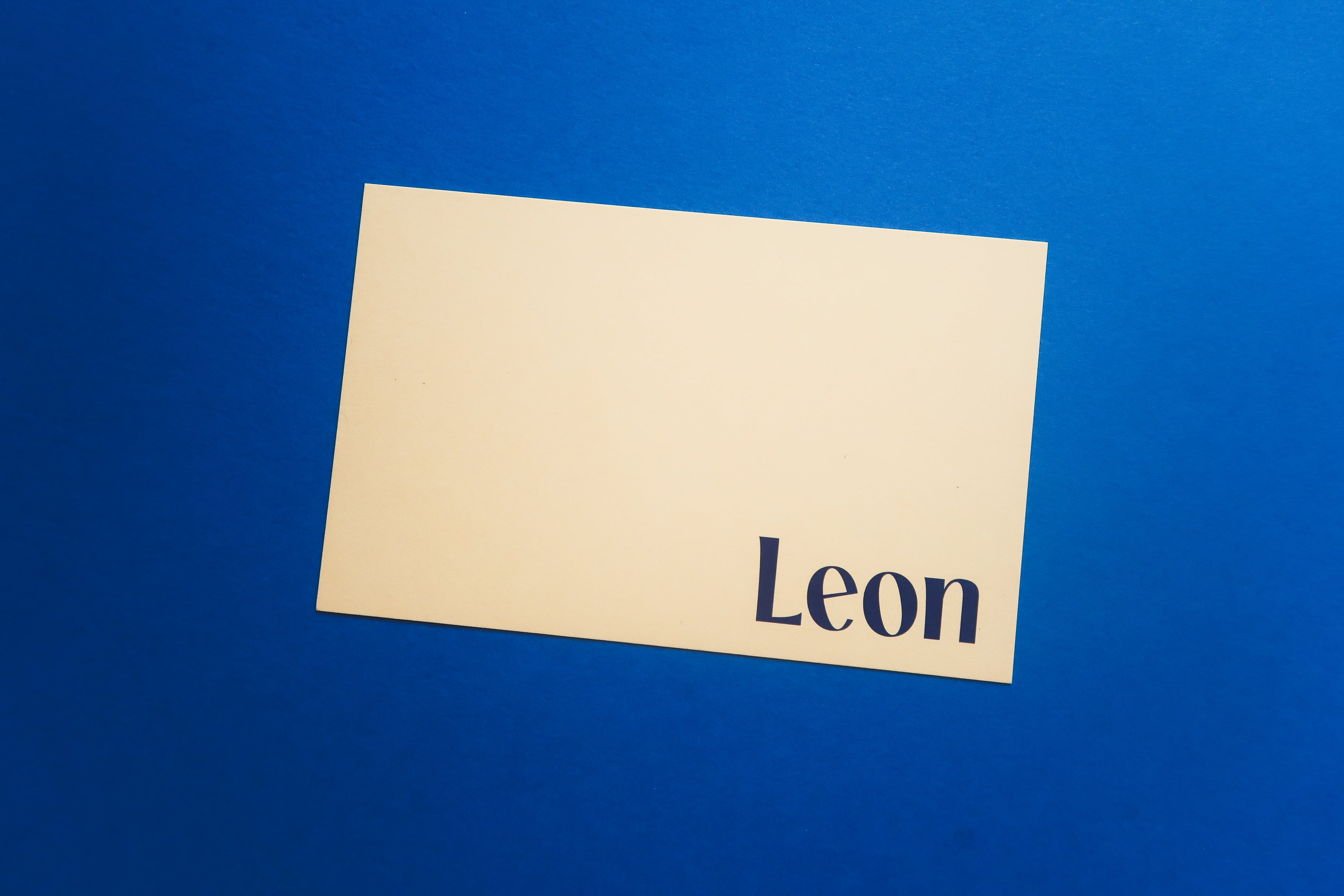 Geboortekaart Leon